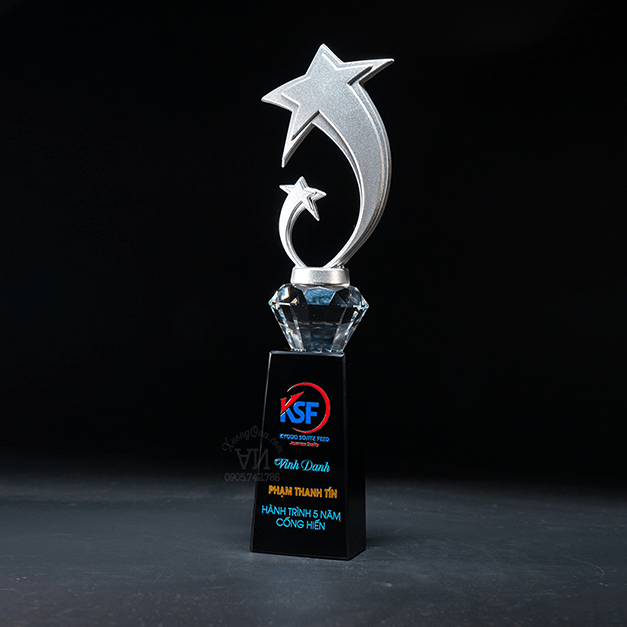 cúp ngôi sao bạc